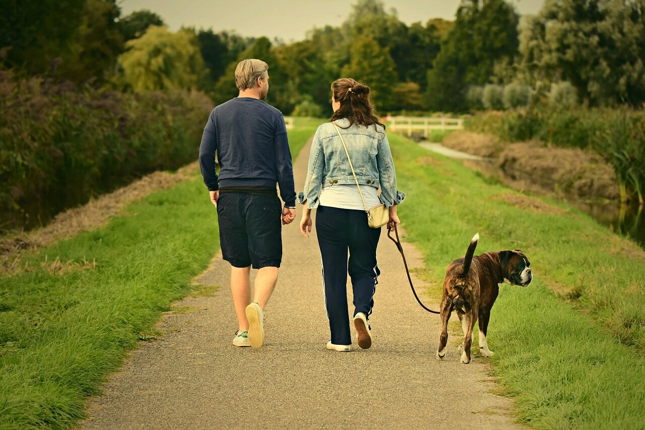 couple, nature, love, outdoors, walking, pair, dog, animal, mammal, canine, pet, man, male, boy, woman, female, girl, romance, relationship, together, joy, happiness